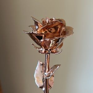 I hate steven singer rose gold rose